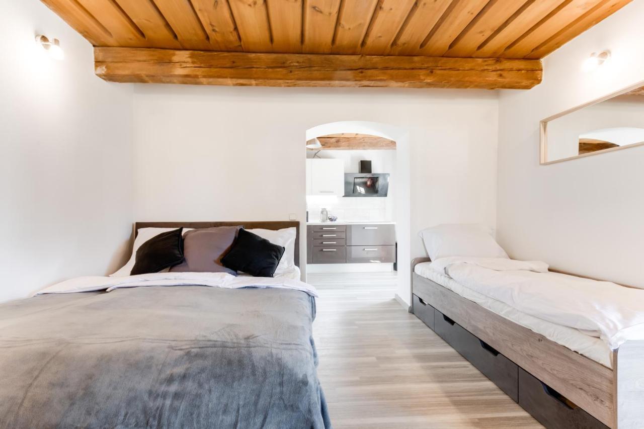 Widtman Apartmentプラハ エクステリア 写真
