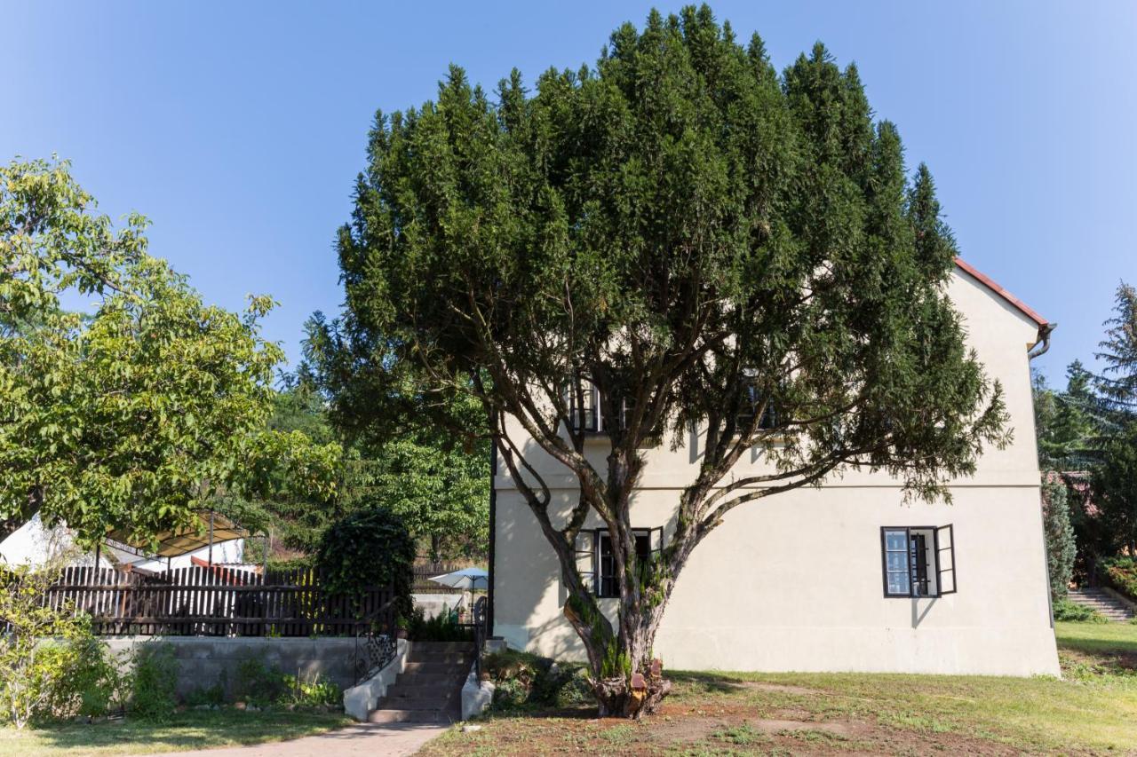 Widtman Apartmentプラハ エクステリア 写真