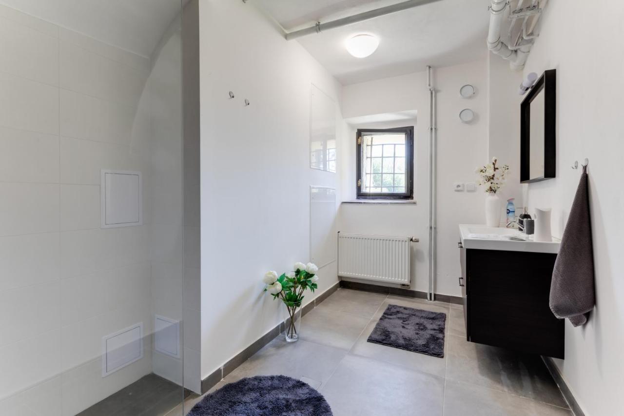 Widtman Apartmentプラハ エクステリア 写真